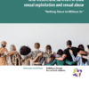 Council of Europe's Meaningful Engagement Guidelines